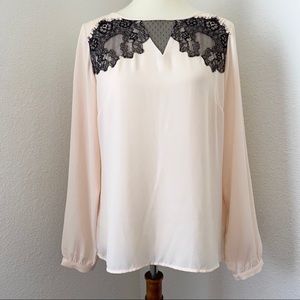 The Limited Blush Pink Cream Black Lace Blouse M